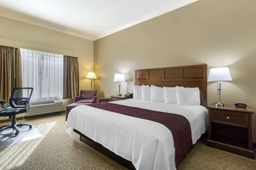 Best Western Plus Grapevine Inn - Image 1