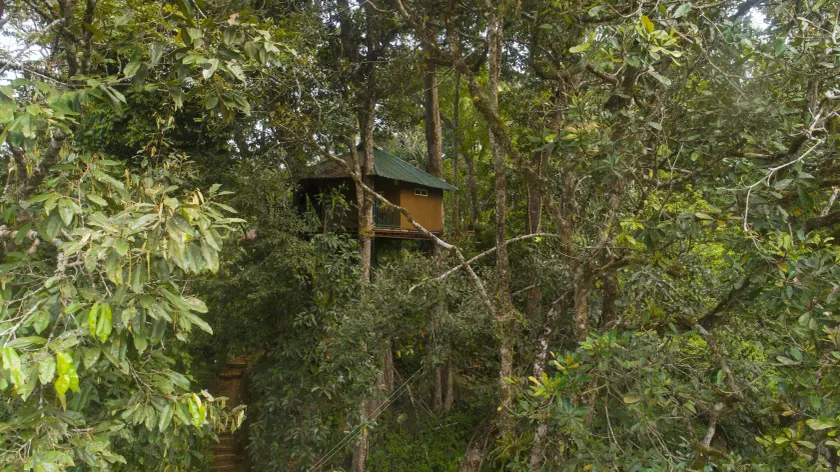 Ela Ecoland Nature Retreat - Image 1