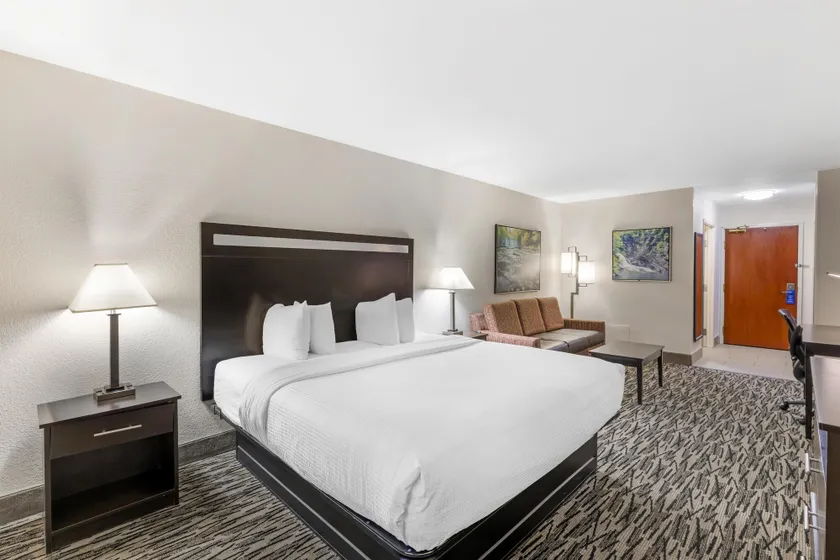 Best Western Plus McDonough Inn & Suites - Image 1
