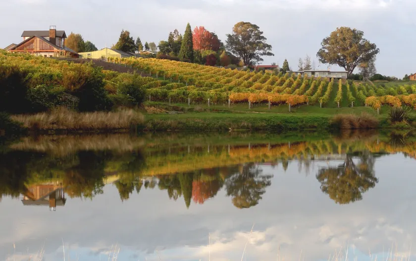 Pine Hill Lodge In Vineyard - Image 1