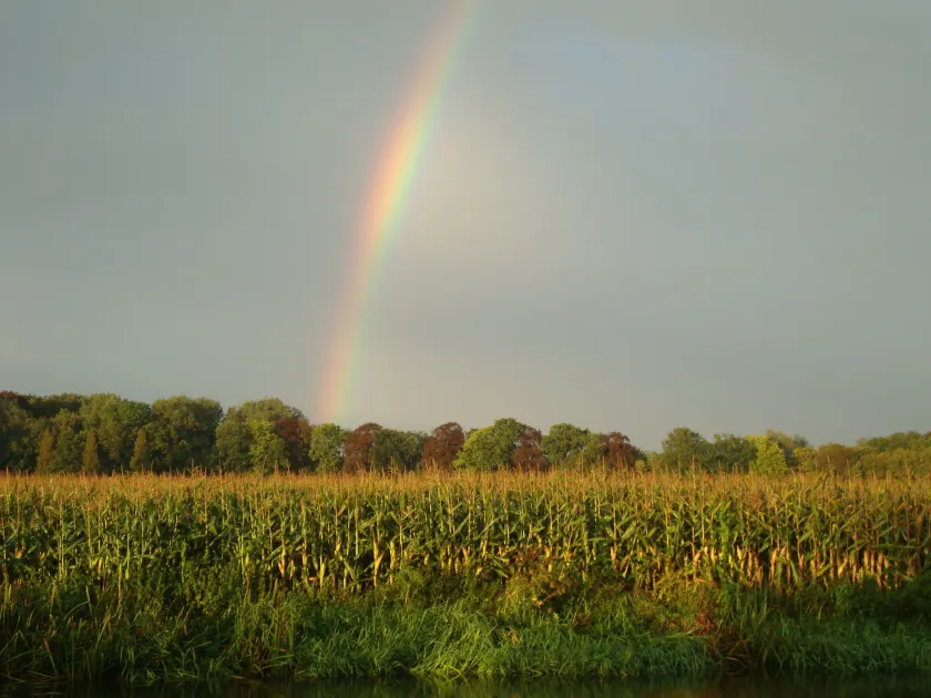 Het Wapen van Harmelen - Image 1