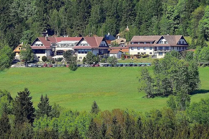 Hotel Podlesí - Image 1