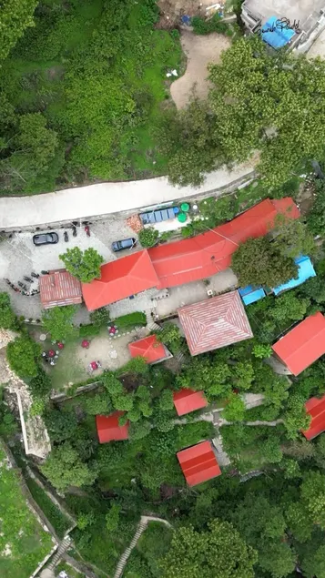 Treez Resort - Image 1