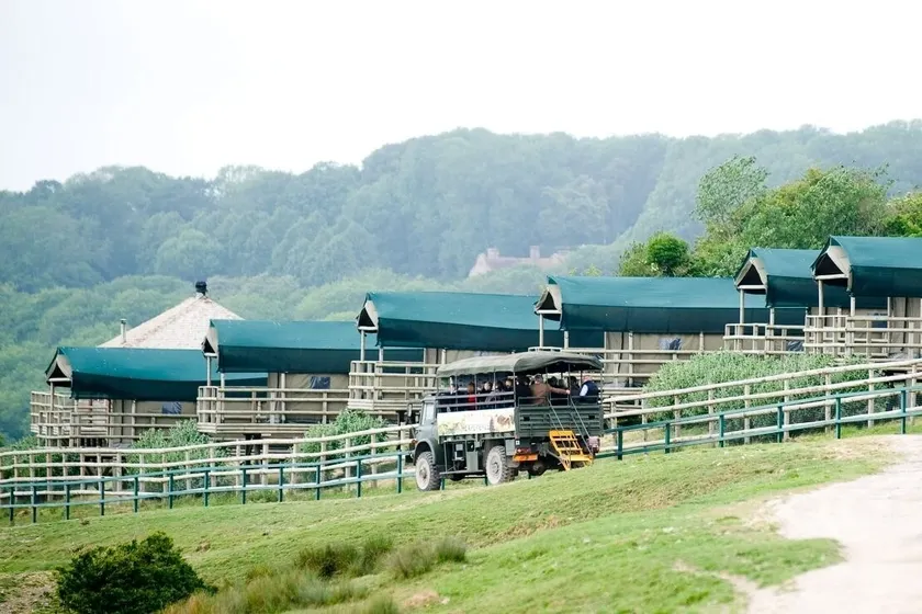 Port Lympne Reserve - Livingstone Lodge - Image 1
