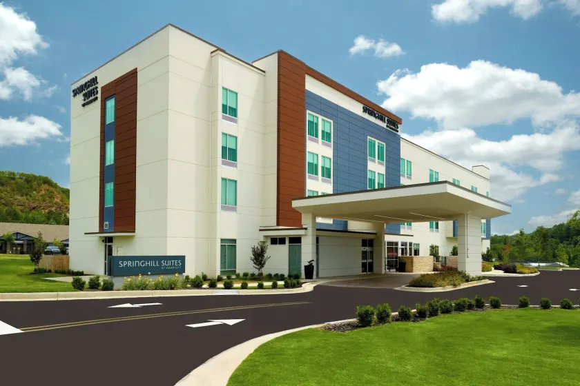 SpringHill Suites by Marriott Ellijay - Image 1