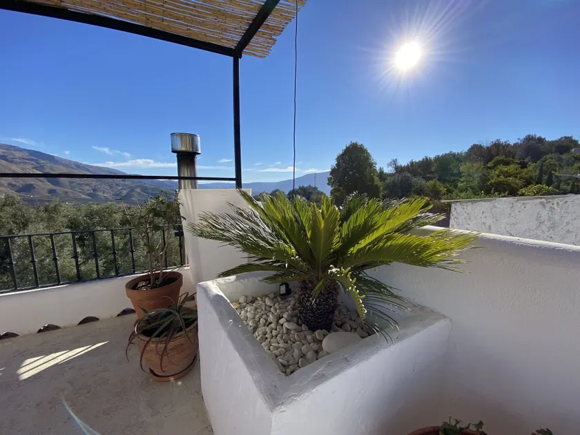 Casa Limon - Image 1