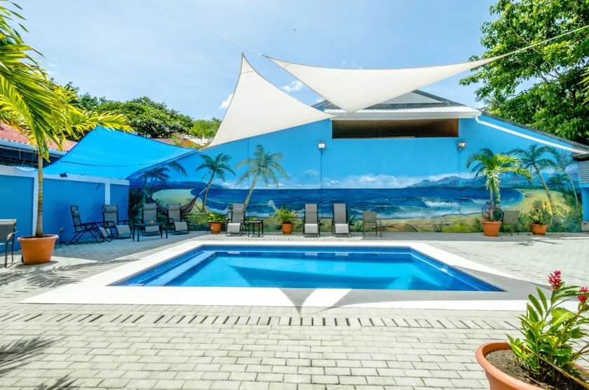 Blue Iguana - Image 1