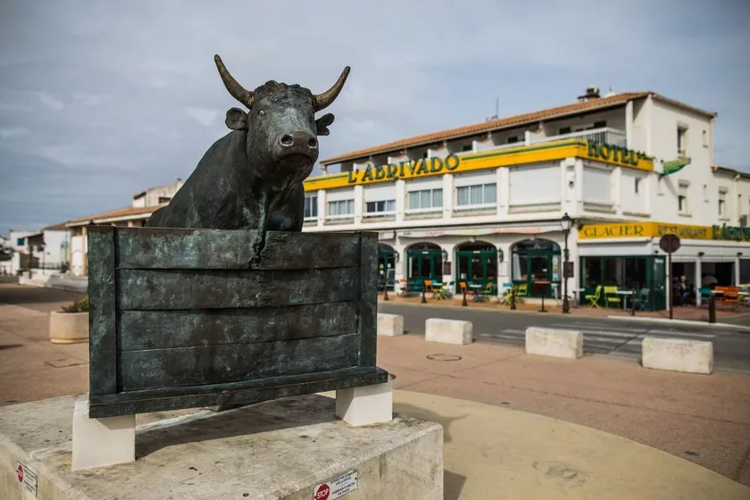 Abrivado - Image 1