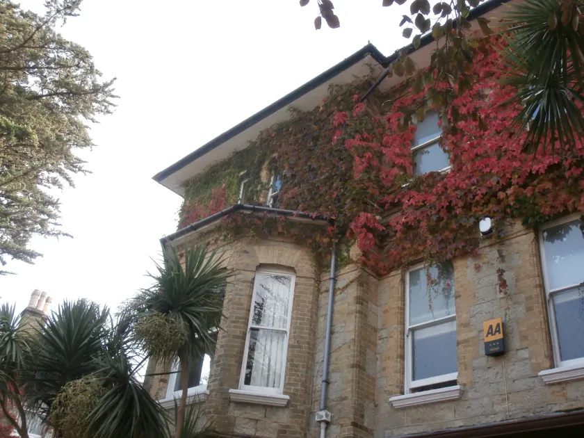 The Eversley B&B - Image 1