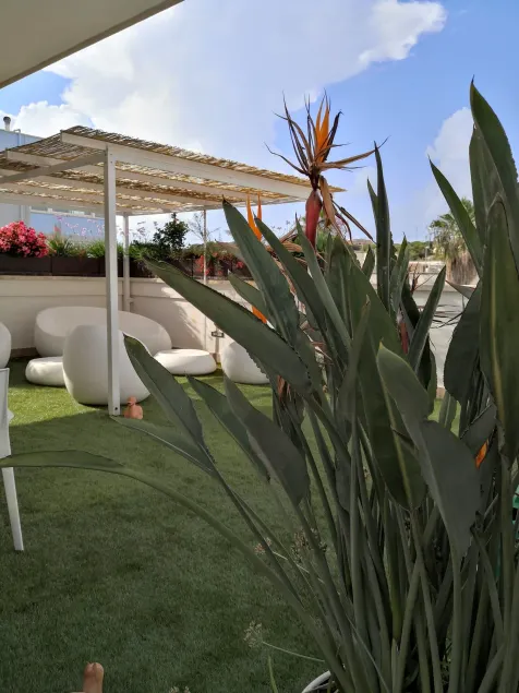 La Casa del Turista - Image 1