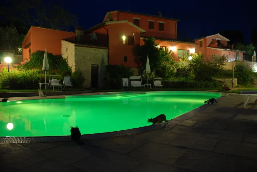 Tenuta San Savino delle Rocchette - Image 1