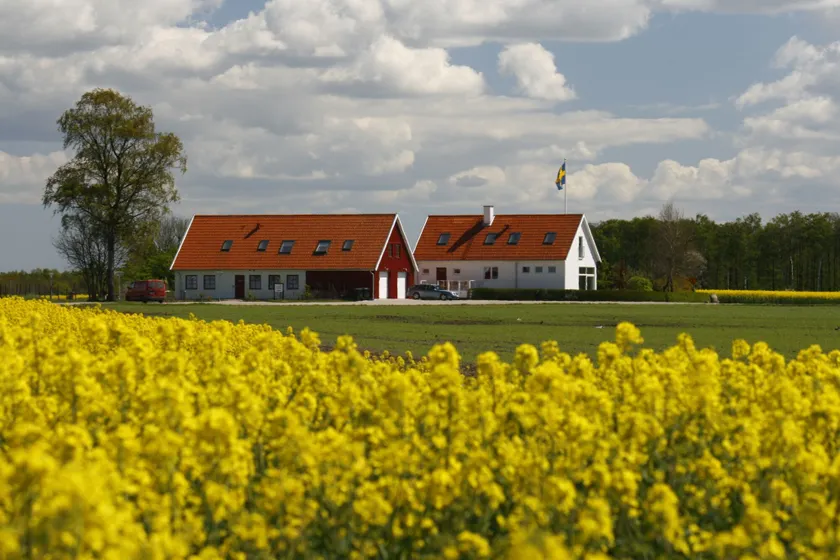 Hobykrok B&B - Image 1