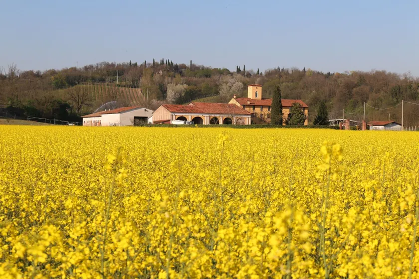 Tenuta Le Sorgive Agriturismo - Image 1