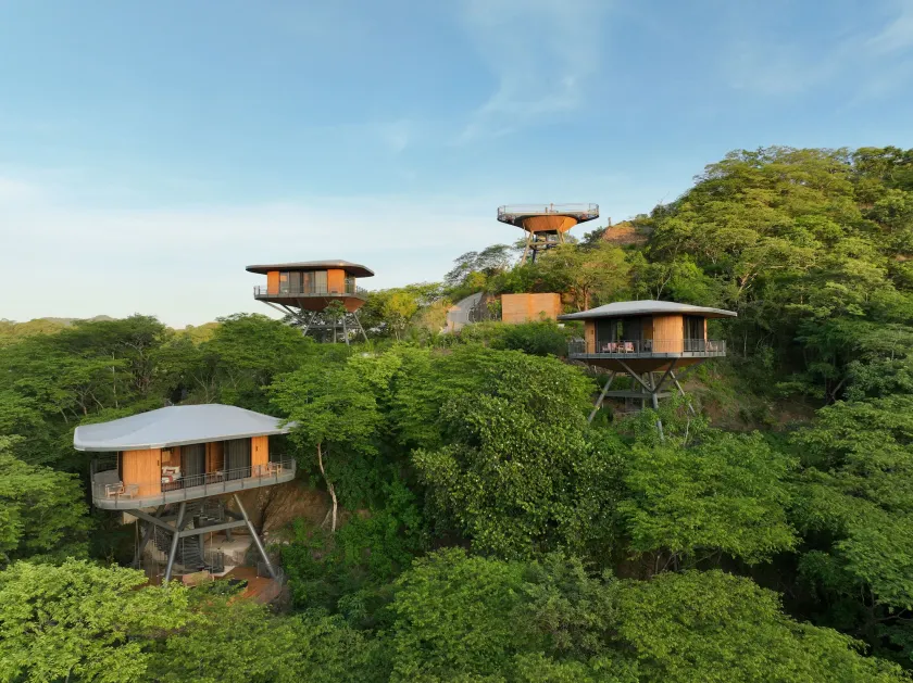 Suitree Experience Hotel - Image 1