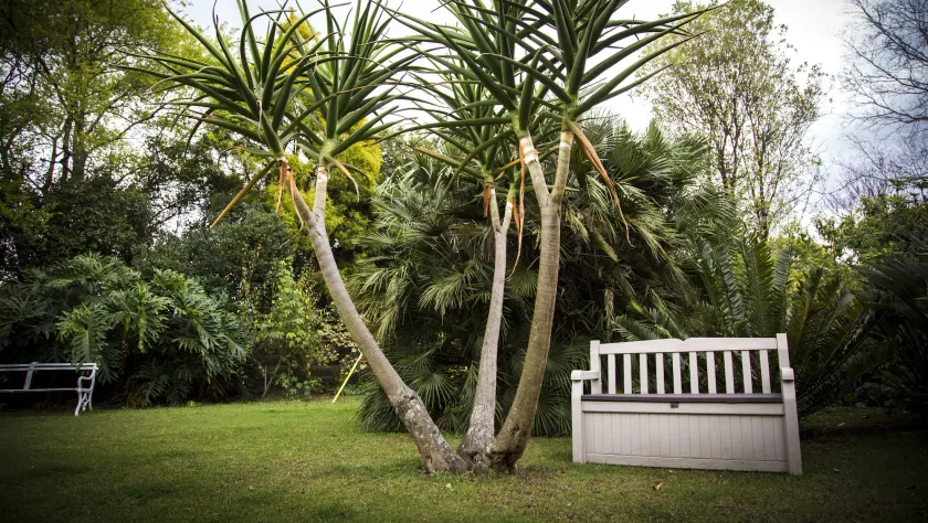 Sunbird Guest House - Image 1