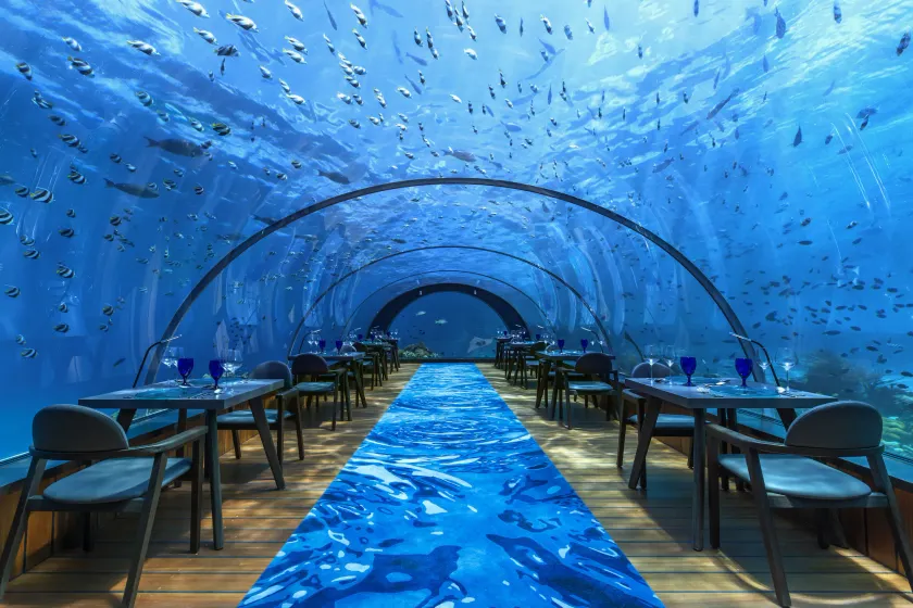 Hurawalhi Island Resort - Image 1