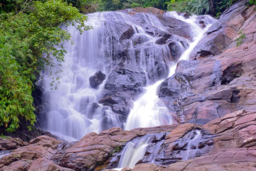 Sinharaja Forest Gate - Image 1
