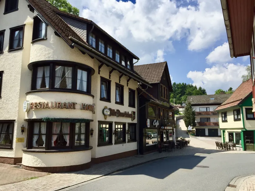 Landhotel Alte Aue - Image 1
