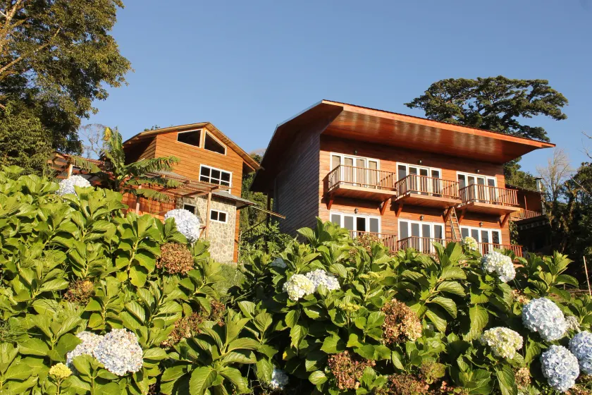 Hotel Bosque Verde Lodge - Image 1