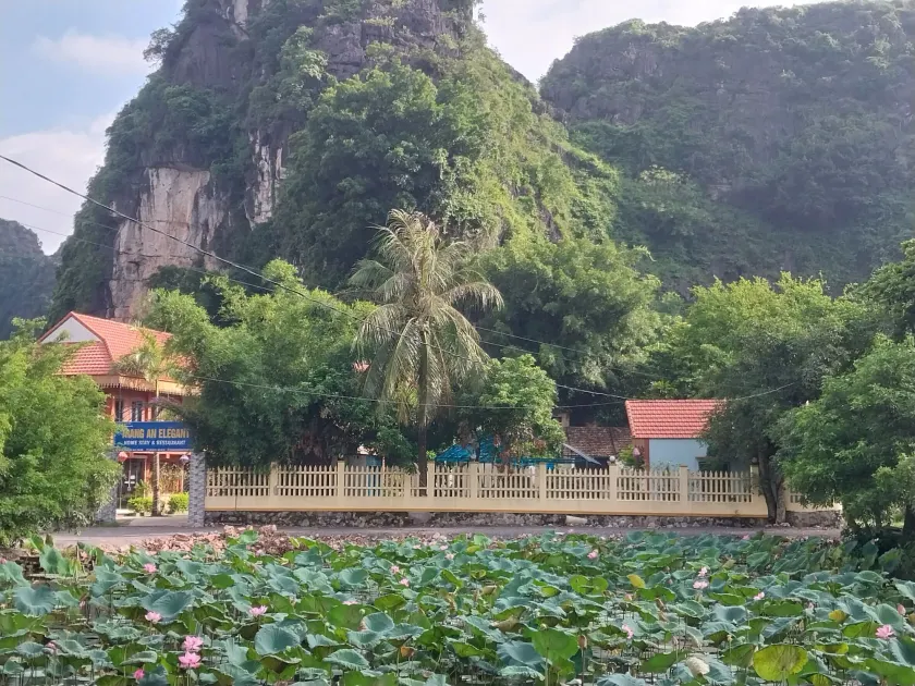Trang An Elegant Homestay - Image 1