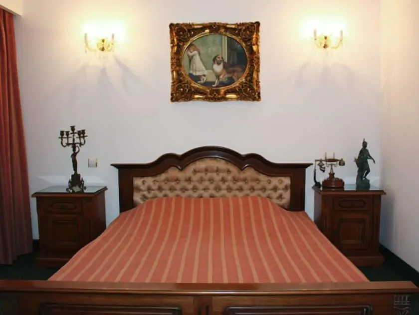 Hotel Carpati Imparatul Romanilor - Image 1