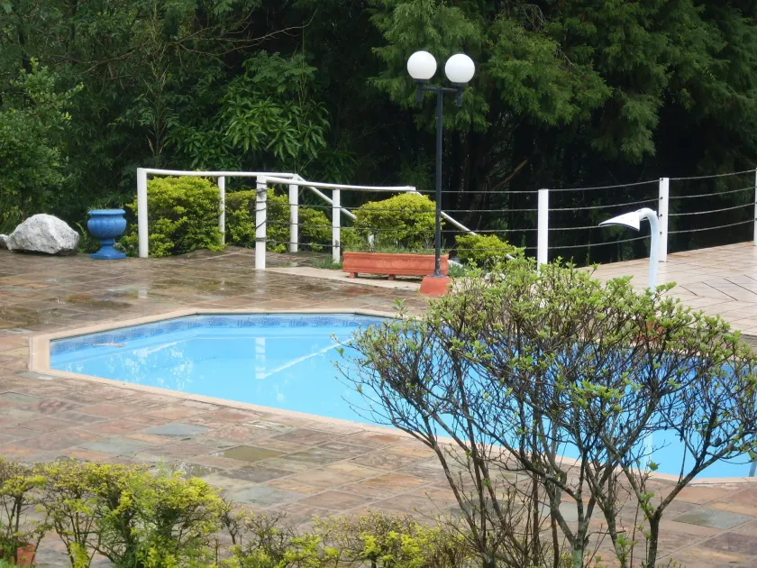 Ceu Stellato - Image 1