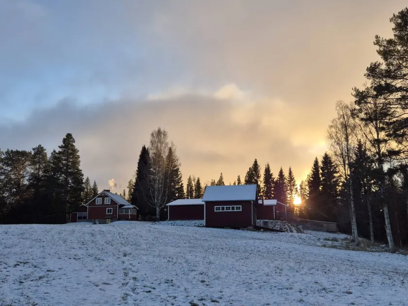 Forest Idyll in Jämtland Pure Peace & Nature - Image 1
