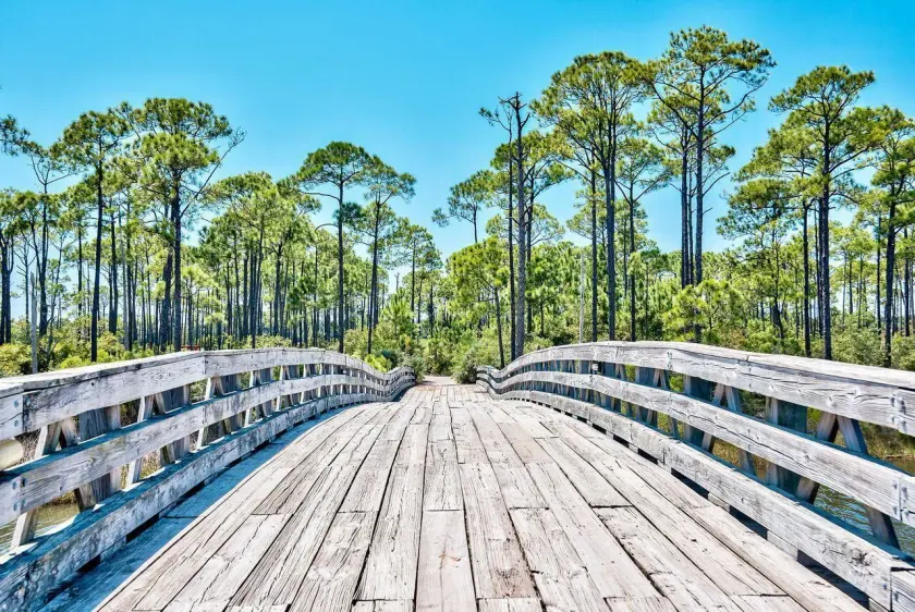 221 Audubon 3 Bedroom Holiday Home By Coastal Dreamin - Image 1