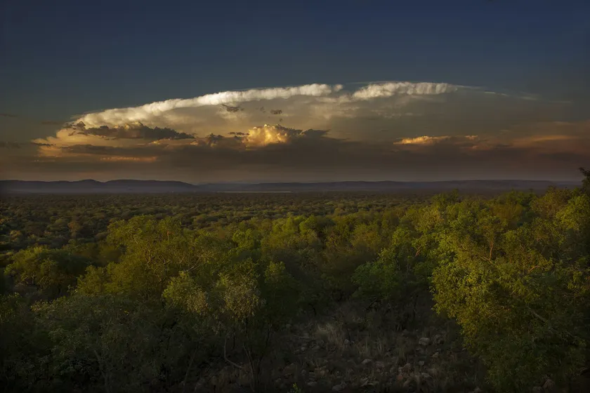 Thabaledi Game Lodge - Image 1
