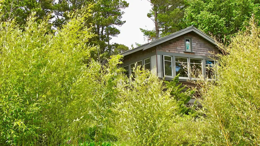 Coast Cabins - Image 1