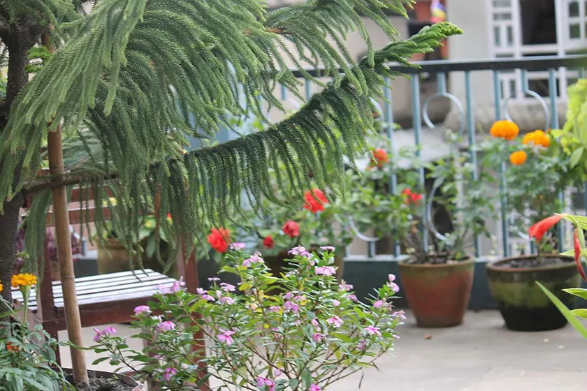 Mount Annapurna Guest House - Image 1