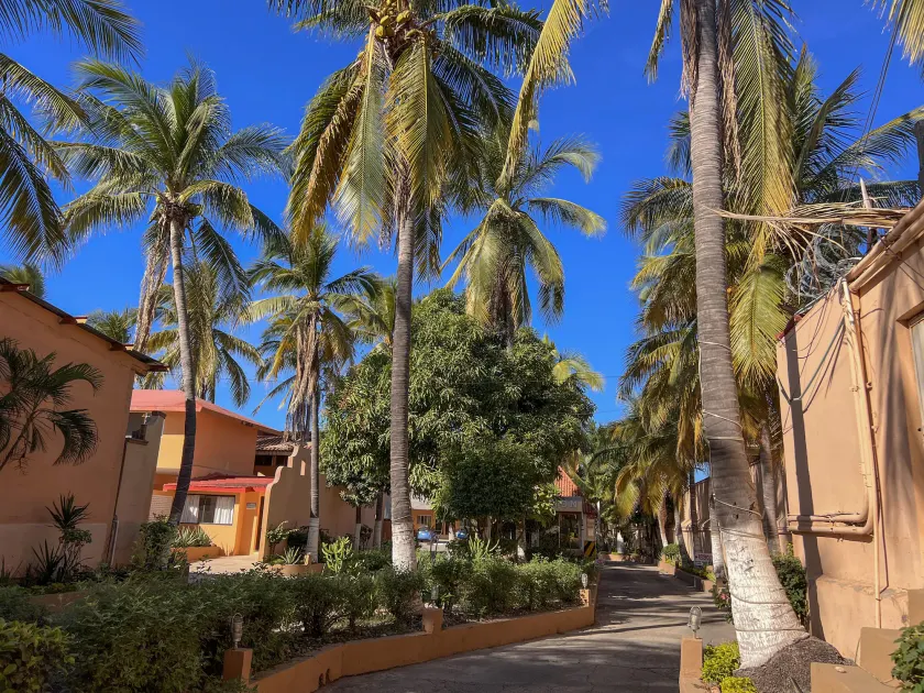 Hotel Oasis - Image 1