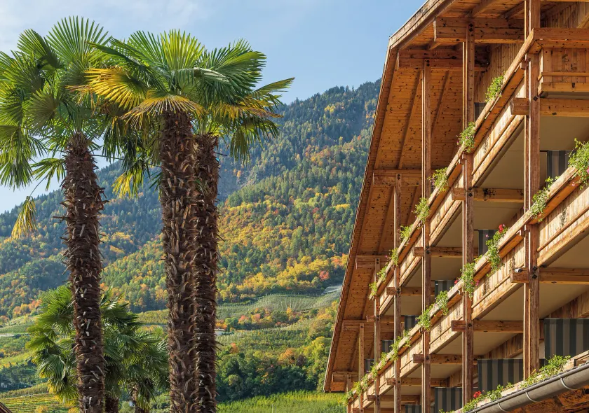 MONDI Hotel Tscherms - Image 1