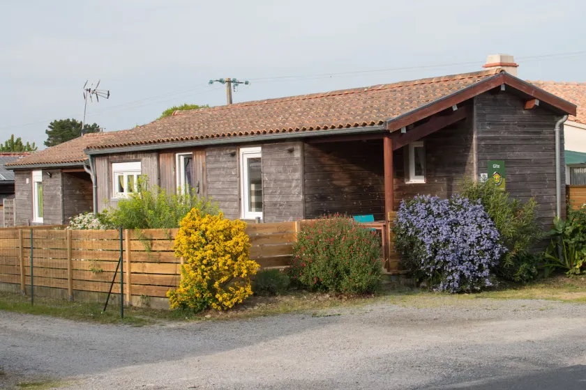 beau t2 tharon - Image 1