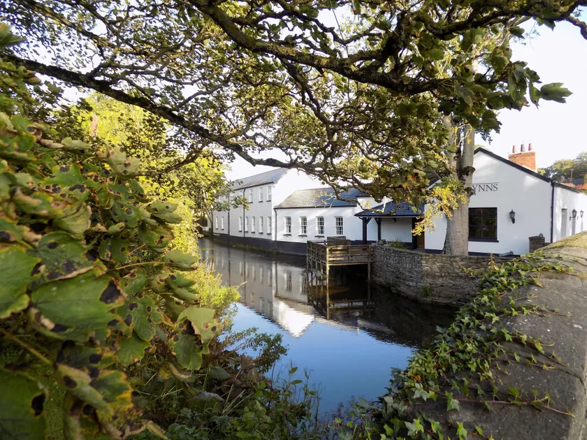 Flynns of Termonfeckin - Image 1