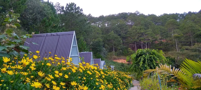 Tuyết Hoa Hòn Bồ Homestay - Image 1