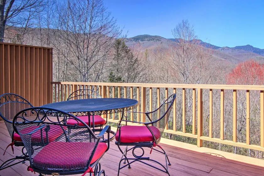 Furnished Deck + Mtn Views: Burnsville Cabin! - Interiör