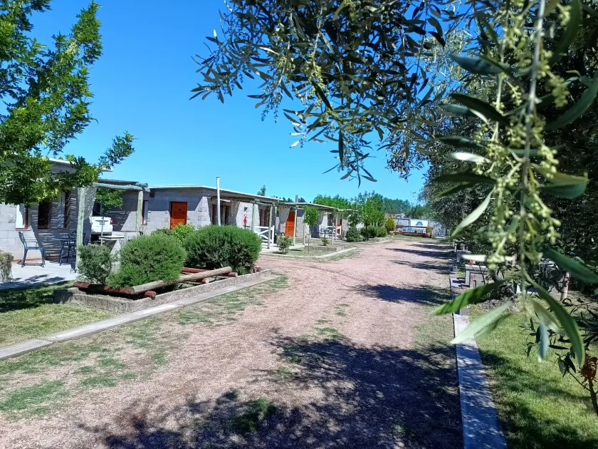 Nelumbo Petit Chalet - Image 1