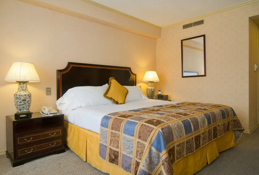 Park Plaza Santiago - Image 1
