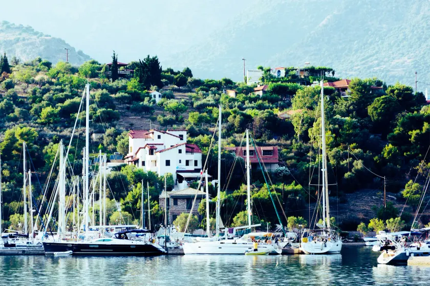 Drymna - Image 1