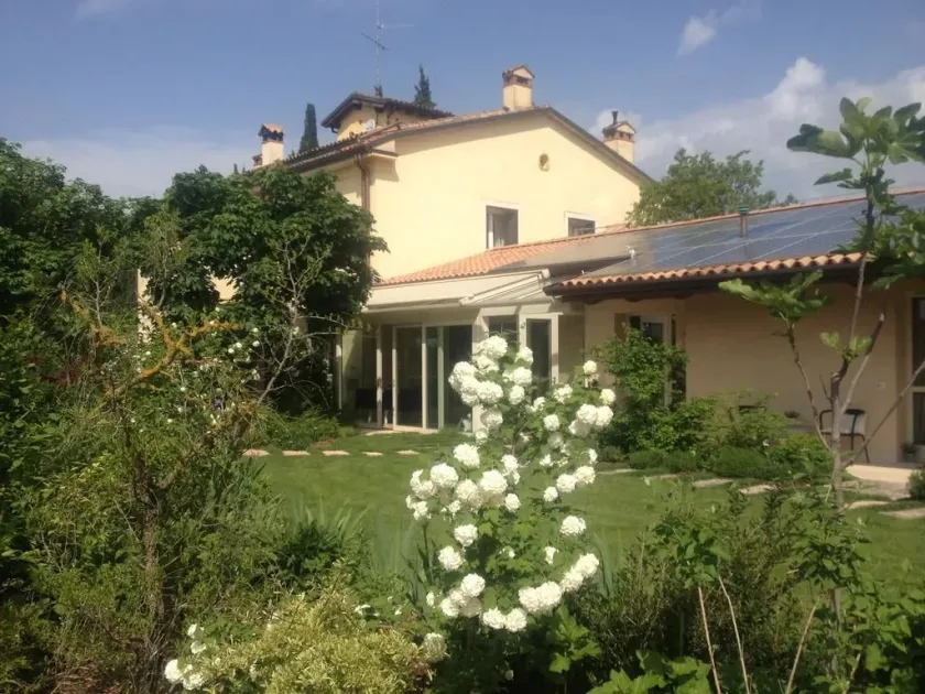 Boccadibacco - Image 1