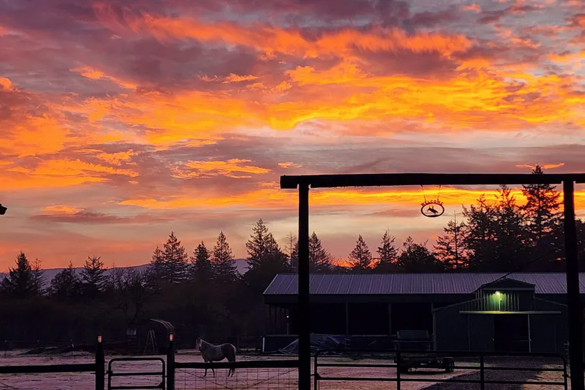 Willamette Valley Home on Working Horse Farm! - Image 1
