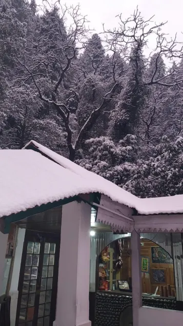 Hotel Paradise hiils dalhousie - Reception