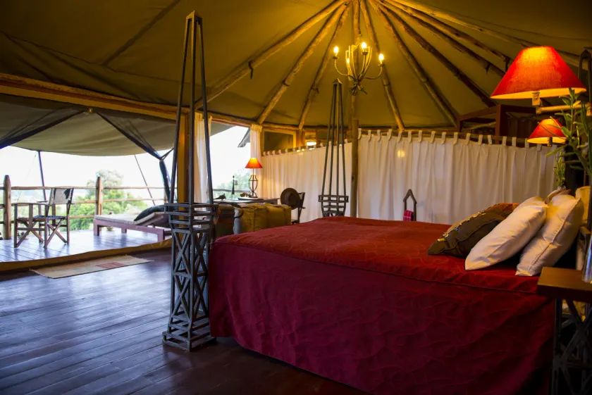 Kilima Camp - Safari in Masai Mara - Image 1