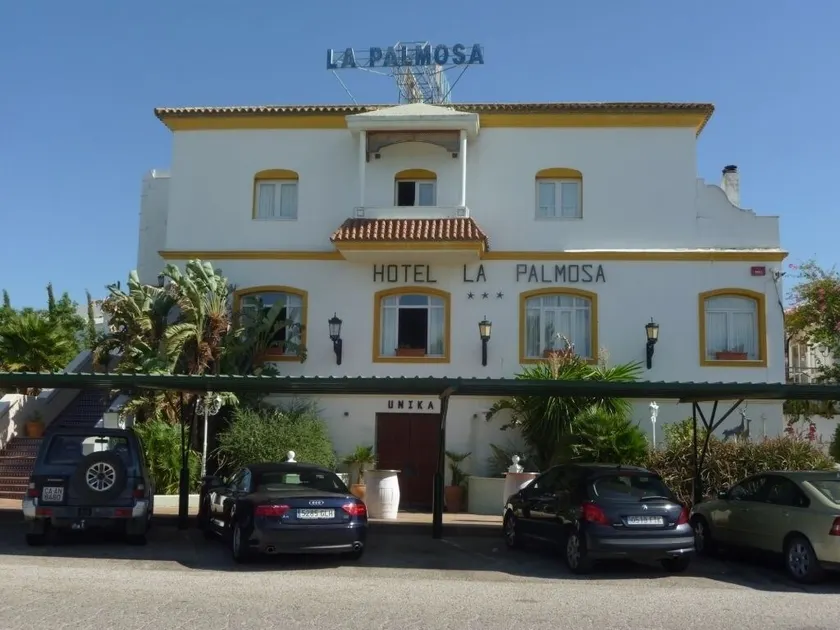 La Palmosa - Image 1
