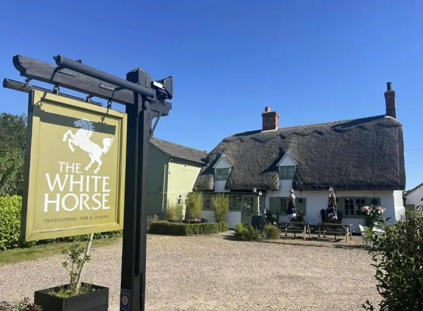 The White Horse - Image 1