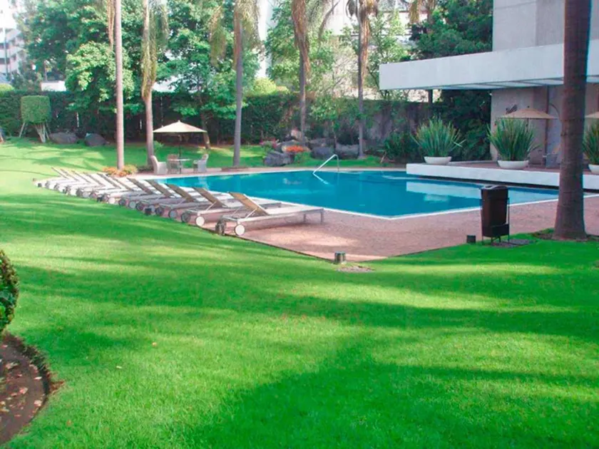 Royal Pedregal - Image 1