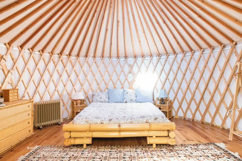 A yurt among olive trees and the sea - Image 1