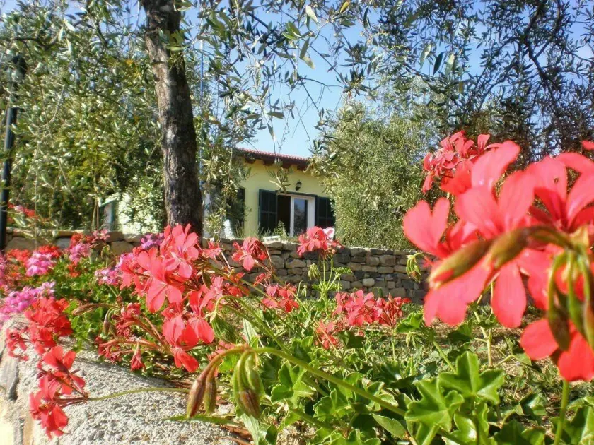 Agriturismo il Grande Ulivo - Image 1