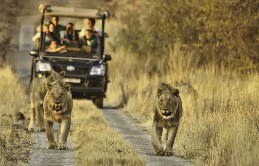 Morokolo Safari Lodge Self-catering - Image 1